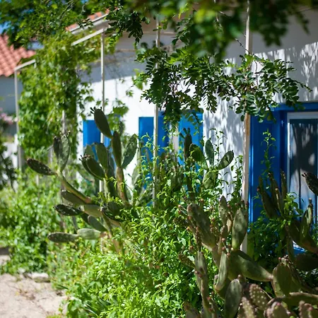 Βίλα La Maison Des Vendangeurs *